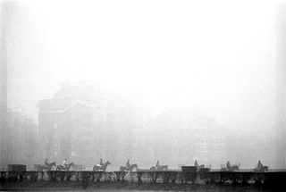 Sportivi, 033-253-25
Cavalli da corsa in allenamento durante una giornata di nebbia, 1998
Ippodromo San Siro, Milano (Italia)